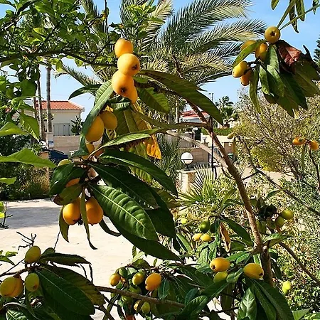 Villa By The Beach In Larnaca *